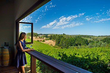Mt Lofty Ranges Vineyard